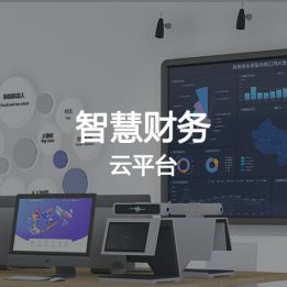 智慧財務(wù)云平臺軟件