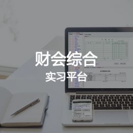 財會綜合實習(xí)平臺軟件
